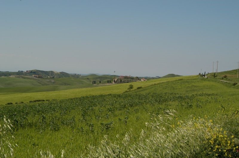 BIBBONA CAMPAGNA